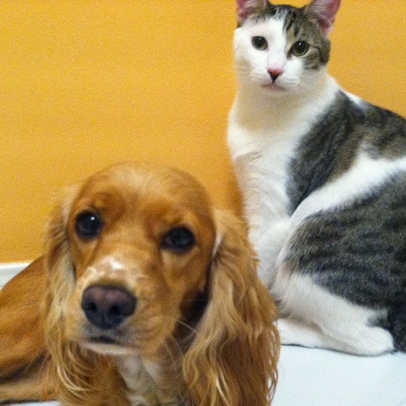 Meet your Posher, Jeanne - Picture 1 of 1